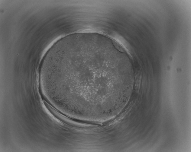 X0000085271476200703091339