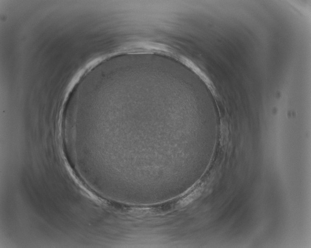 X0000085271477200703091339