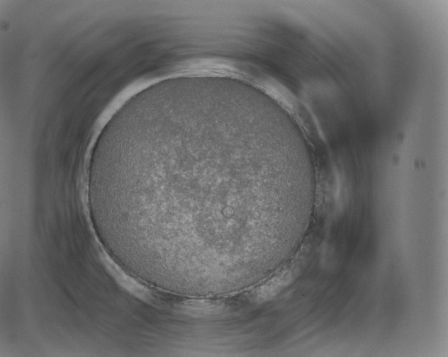 X0000085271478200703091339