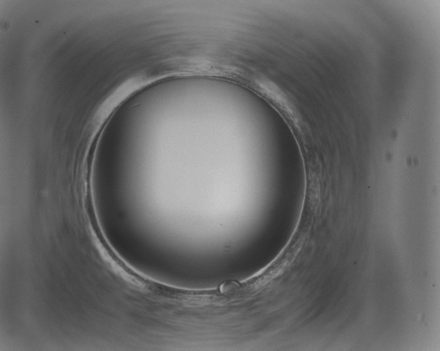 X0000085271479200703091339