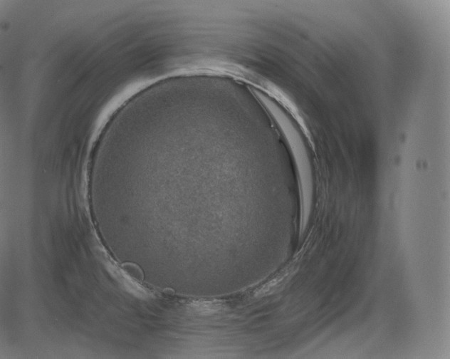 X0000085271480200703091339