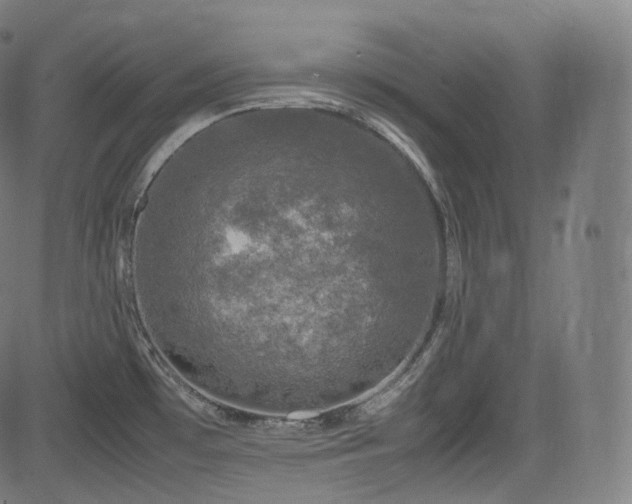 X0000085271481200703091339