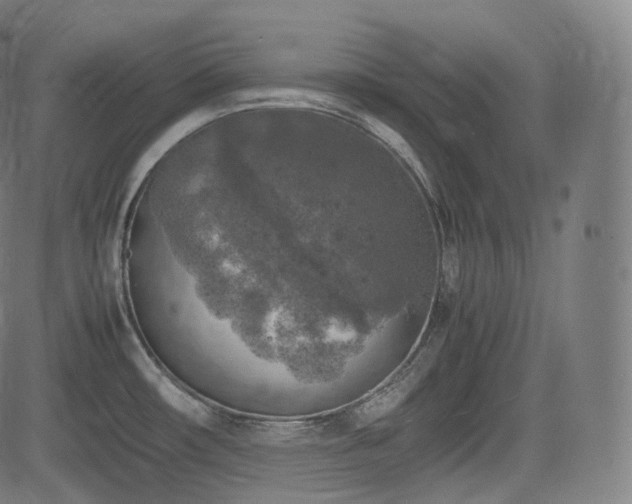 X0000085271482200703091339