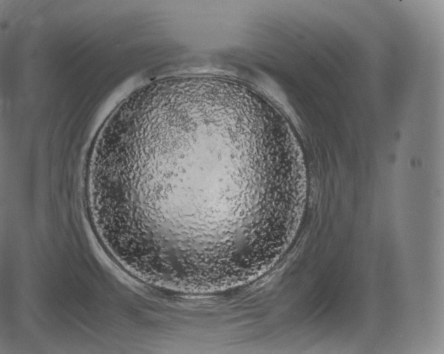 X0000085271483200703091339