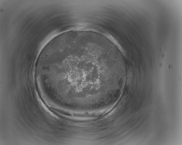 X0000085271484200703091339