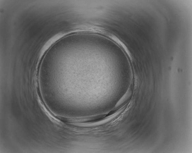 X0000085271485200703091339