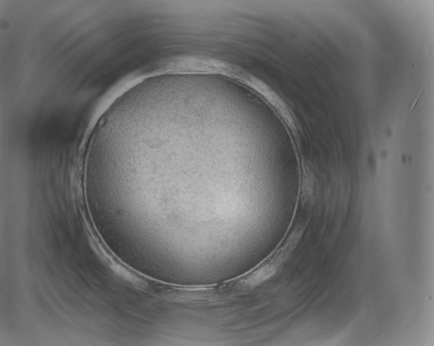 X0000085271486200703091339