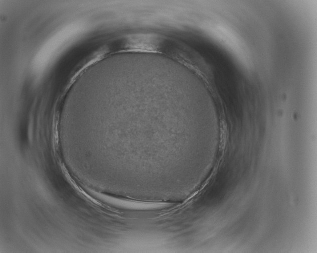 X0000085271487200703091339