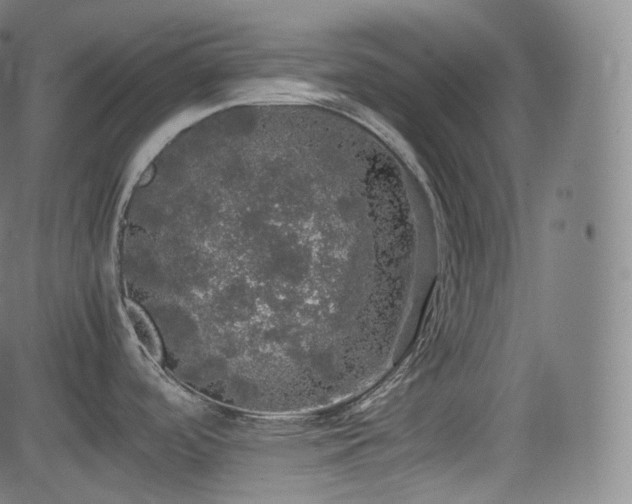 X0000085271488200703091339