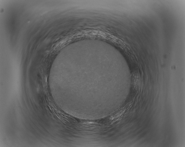 X0000085271489200703091338