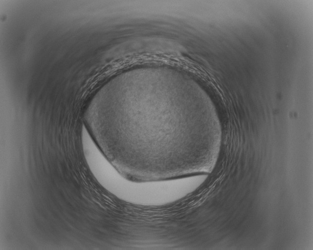 X0000085271490200703091338