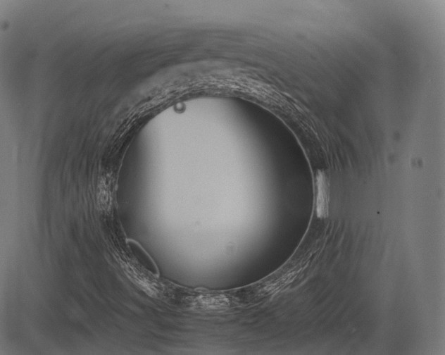 X0000085271491200703091338