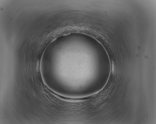 X0000085271492200703091338