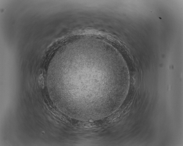 X0000085271493200703091338