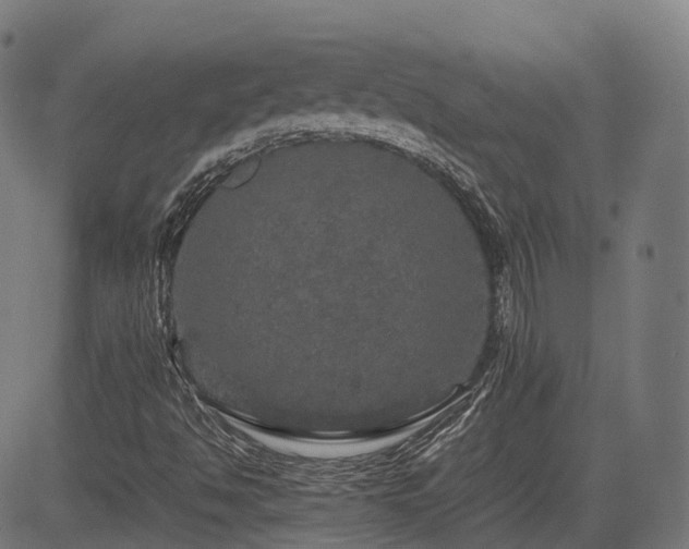 X0000085271494200703091338