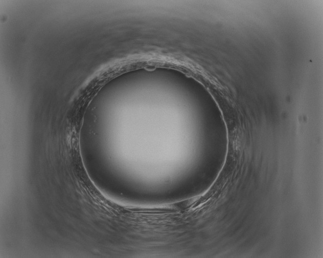 X0000085271495200703091338