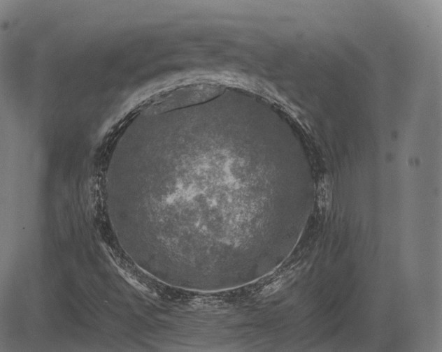 X0000085271496200703091338