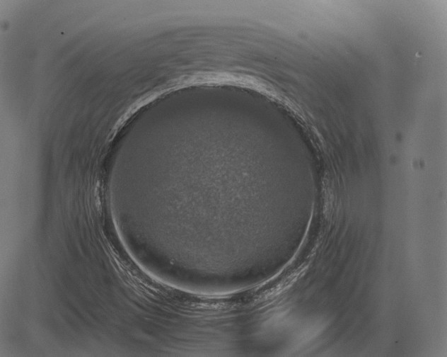 X0000085271497200703091338