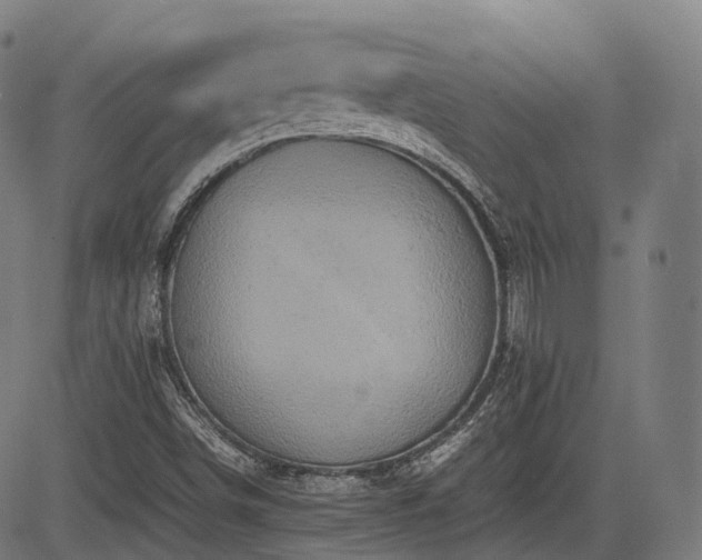 X0000085271498200703091338