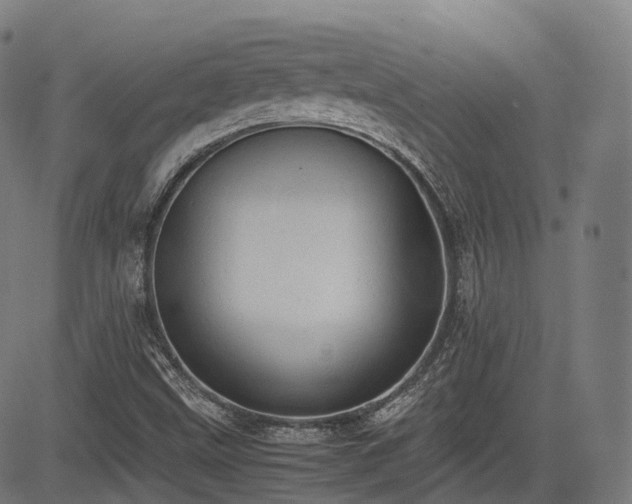 X0000085271499200703091338