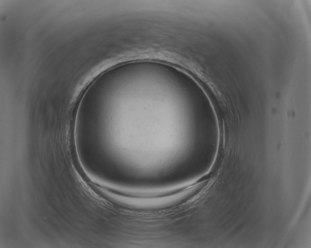 X0000085271500200703091338