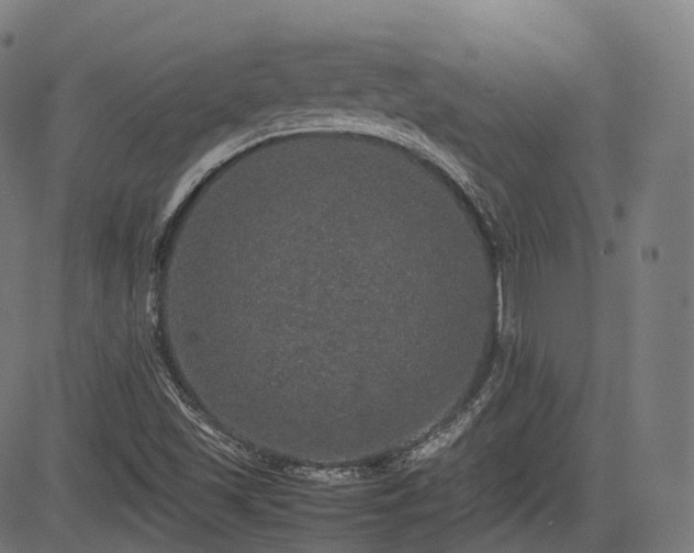 X0000085271501200703091338