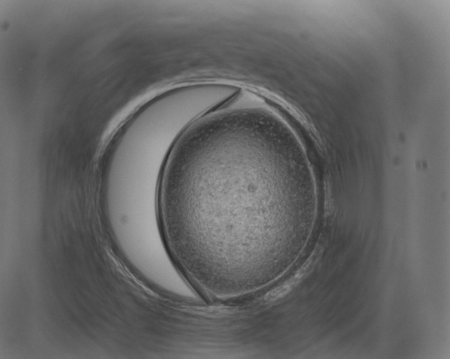 X0000085271502200703091338