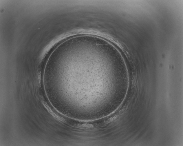 X0000085271503200703091338