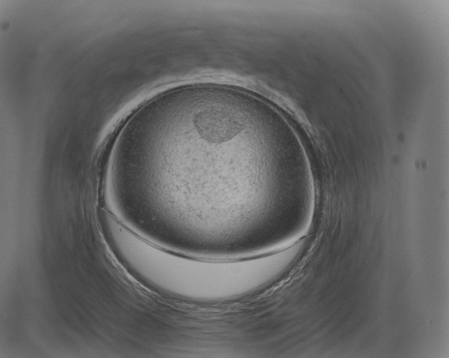 X0000085271504200703091338