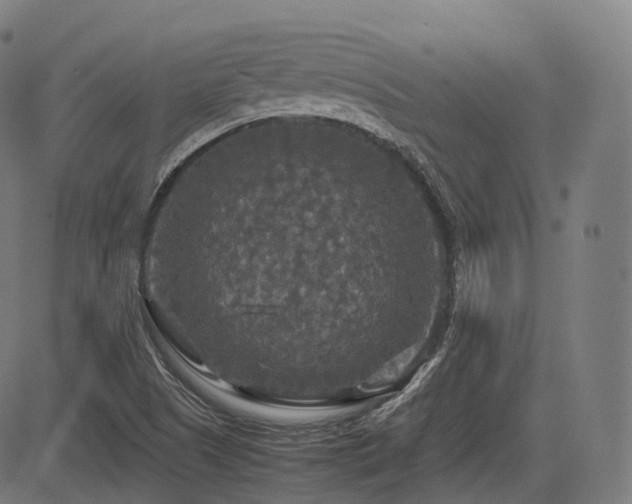 X0000085271505200703091338