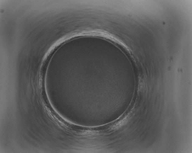 X0000085271506200703091338