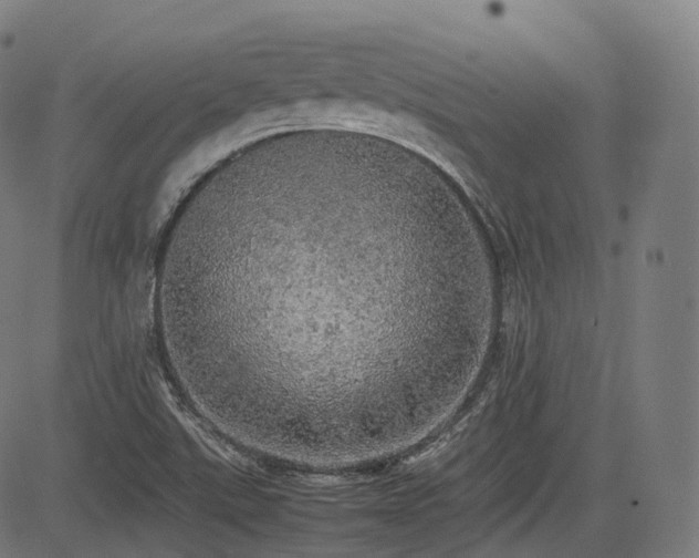 X0000085271507200703091338