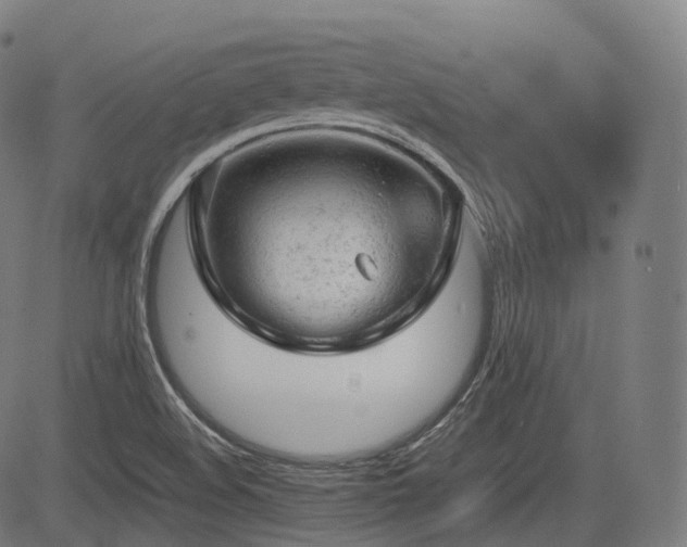 X0000085271508200703091338