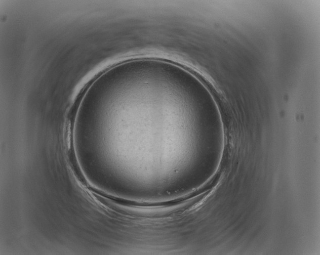 X0000085271510200703091339