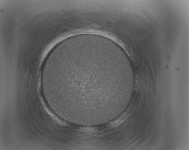 X0000085271511200703091339