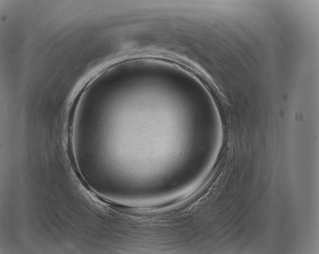 X0000085271512200703091339