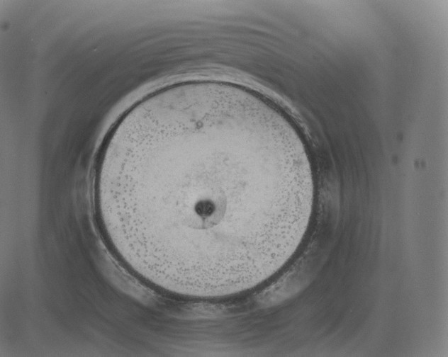 X0000085271514200703091339