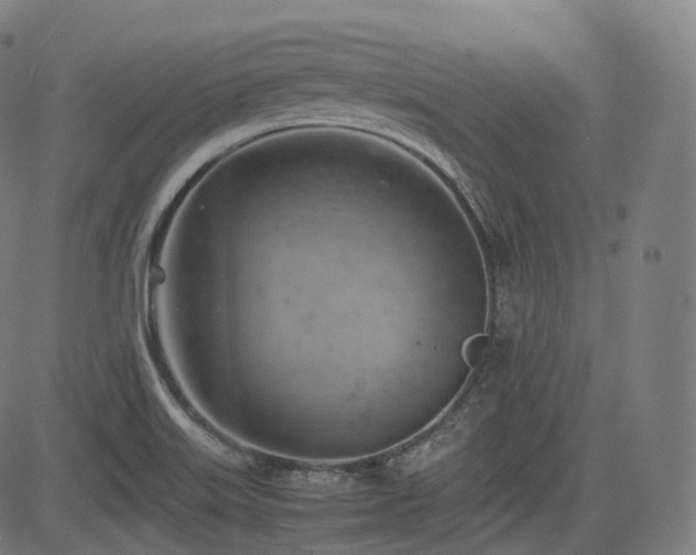 X0000085271515200703091339