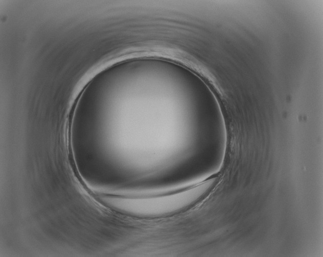 X0000085271516200703091339