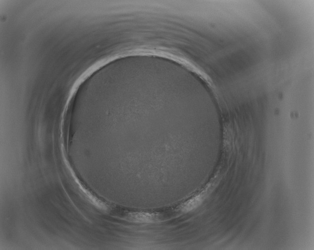 X0000085271517200703091339