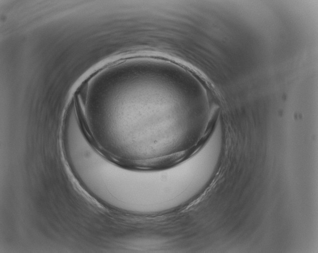 X0000085271518200703091339