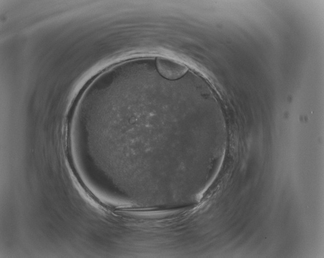 X0000085271519200703091339