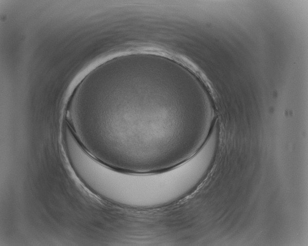 X0000085271520200703091339