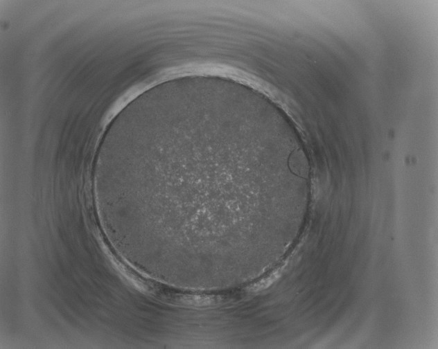 X0000085271521200703091339