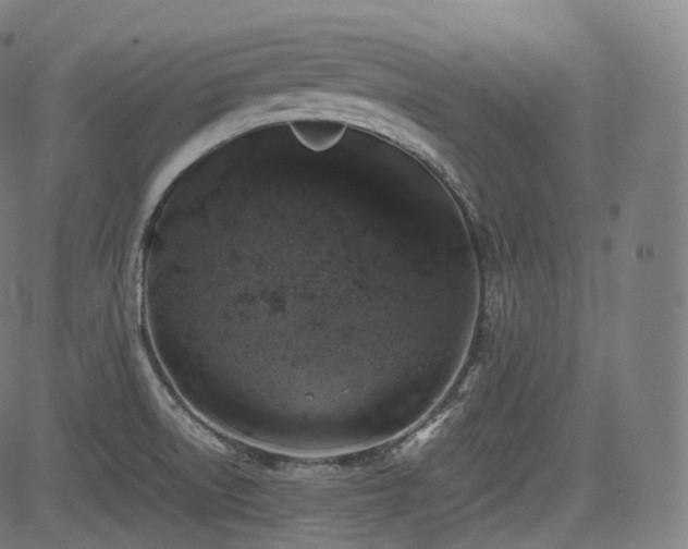 X0000085271522200703091339