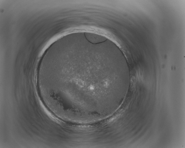 X0000085271523200703091339