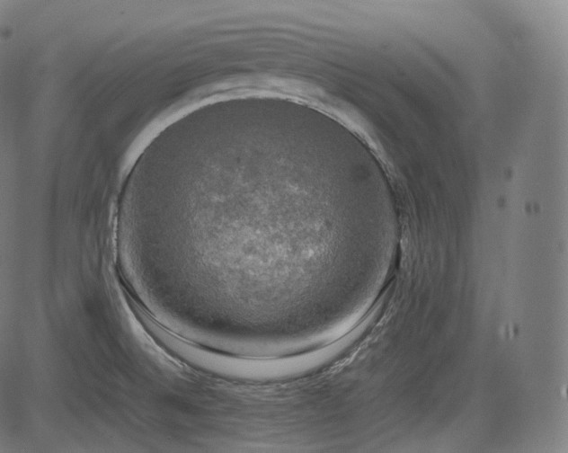 X0000085271524200703091339