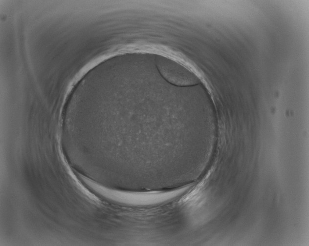 X0000085271525200703091339