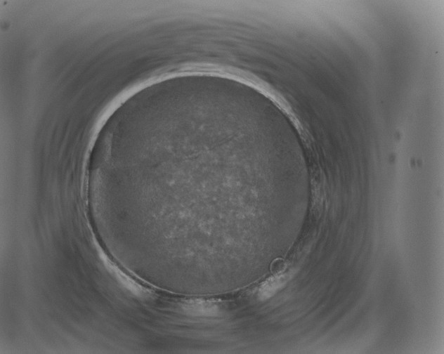 X0000085271527200703091339