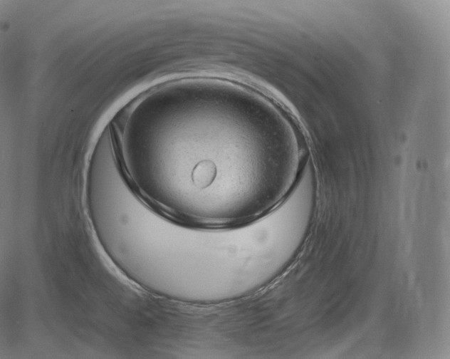 X0000085271528200703091339